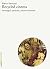 Recycled cinema: Immagini p...