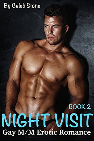 Night Visit: Book 2 (Kindle Edition)