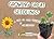 Growing Great Seedlings: A ...