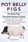 Pot Belly Pigs. P...