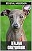 Italian Greyhound by Crystal Anderson