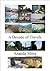 A Decade of Travels