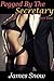 Pegged By The Secretary Part Two
