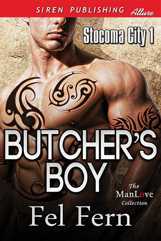 Butcher's Boy (Stocoma City, #1)