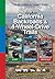 Guide to California Backroads & 4-Wheel Drive Trails: 100 Mountain & Desert Trails (FunTreks Guidebooks)