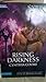 Rising Darkness (Dark Enchantments #2)