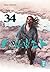 Vagabond, Band 34