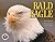 Bald Eagle 2005 Calendar by Lon E. Lauber