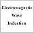 Electromagnetic Wave Induction, summarized and illustrated