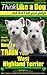 West Highland Terrier, West Highland Terrier Training AAA AKC: Here's EXACTLY How To TRAIN Your West Highland Terrier (West Highland White Terrier, West ... White Terrier Training AAA AKC:on Kindle)