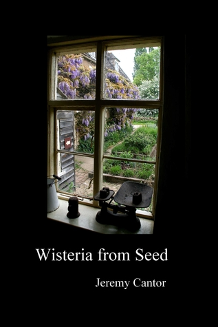 Wisteria from Seed