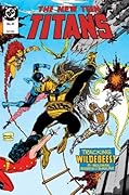 The New Teen Titans (1984-1996) #41 (The New Titans