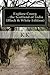 Explore Coorg - the Scotlan...