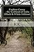 Explore Coorg - the Scotland of India