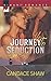 Journey to Seduction (Chasing Love #2)