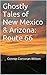 Ghostly Tales of New Mexico & Arizona: Route 66: Connie Corcoran Wilson (Ghostly Tales of Route 66 Book 2)