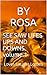 SEE SAW LIFES UPS AND DOWNS, volume 1 by Rosa