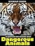 64 Questions and Answers About Dangerous Animals