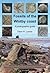 Fossils of the Whitby Coast by Dean R. Lomax