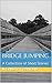 Bridge Jumping: A Collection of Short Stories