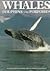 Whales, Dolphins, and Porpo...