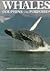 Whales, Dolphins, and Porpoises by Richard J. Harrison