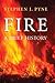 Fire by Stephen J. Pyne