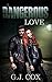 A Dangerous Love