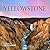 Yellowstone