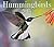 Hummingbirds 2015