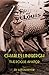 Charles Lindbergh, The Rogue Aviator