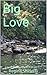 Big Love