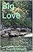 Big Love