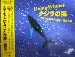 クジラの海 (Hardcover)
