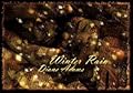 Winter Rain