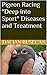 Pigeon Racing- Deep into Sport - Diseases and Treatment by Dacian Busecan