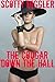The Cougar Down The Hall (Cougar Tales Book 2)