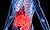 Principles of gastrointestinal surgery by Mohammed El-Matary