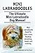 Mini Labradoodles. Miniature Labradoodle book for care, costs, feeding, grooming, health and training. The Ultimate Mini Labradoodle Dog Manual.