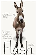 Flash: The Homeless Donkey Who Taught Me about Life, Faith, and Second Chances (Flash the Donkey)
