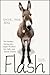 Flash: The Homeless Donkey ...