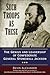 Such Troops as These: The Genius and Leadership of Confederate General Stonewall Jackson
