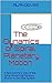 The Dynamics of Spiral Planetary Motion: A Revolutionary View of the Spiral Governing Planetary Motion in the Solar System