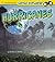 Hurricanes (Little Scientist)