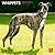 Whippets 2013 Calendar by BrownTrout Publishers Inc.