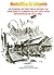 Synopsis of the True Story of The Airship Flap and UFOs’ Sightings of 1896-1897 (From the Series: Ufology’s Most Important Topics Book 1)