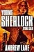 Stone Cold (Young Sherlock Holmes, #7)