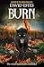 Burn (Salem's Revenge, #3)