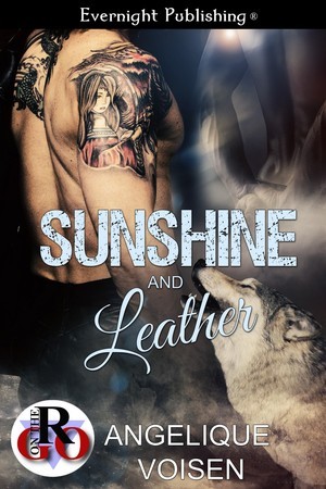 Sunshine and Leather (Kindle Edition)