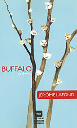 Buffalo, ou Le chat est un animal triangulaire (Paperback)